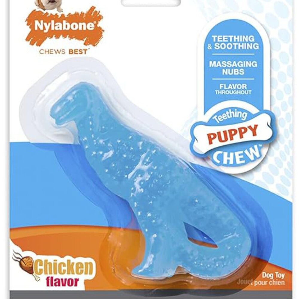 Puppy Toy: Nylabone Chicken-flavored Teething Dinosaur Chew Toy
